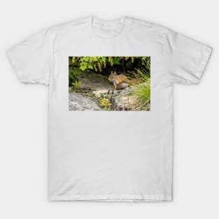 Red Squirrel T-Shirt